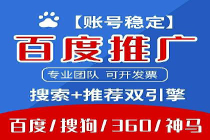 实战解析：SEM代运营成功案例分享